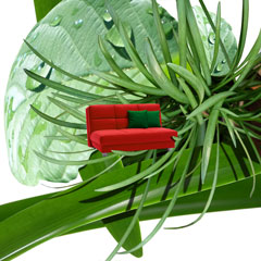 Der erste »Neue« …