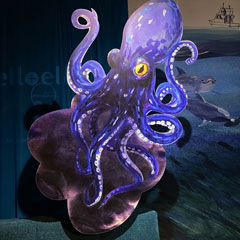 Messestände für ell+ell